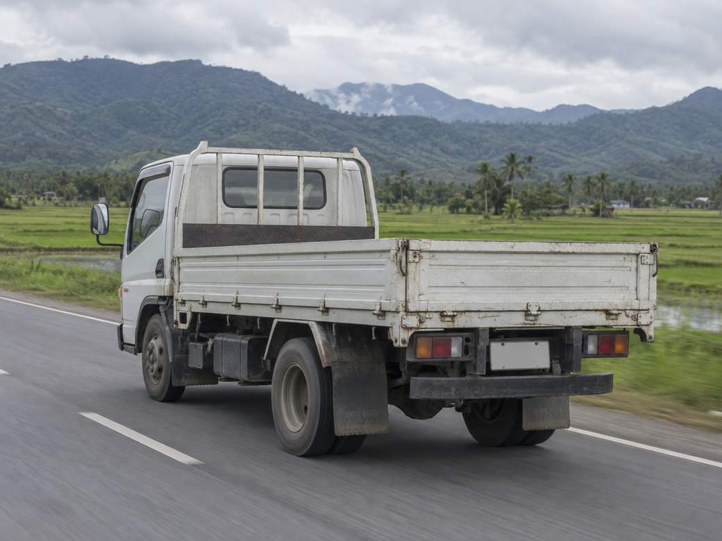 A white dropside cargo truck drives along a two-lane provincial road past rice fields, with forested mountains under an overcast sky.