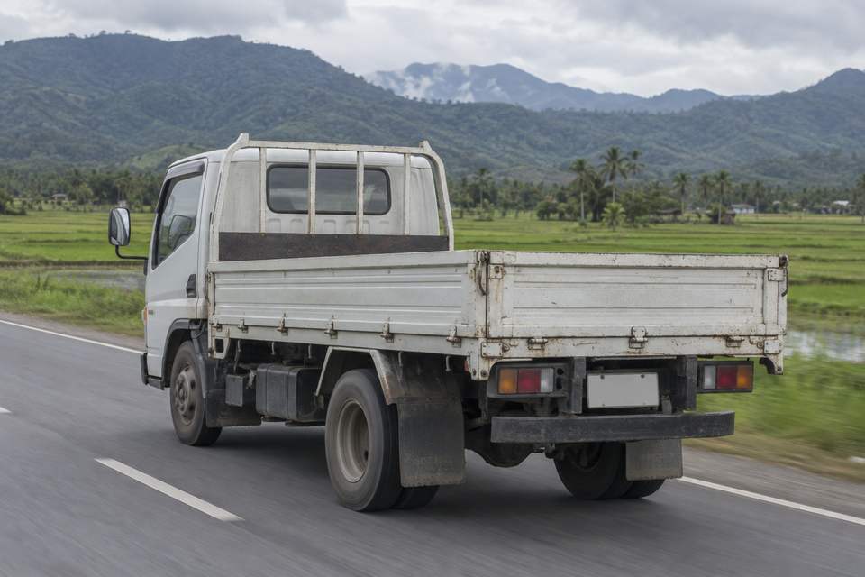 A white dropside cargo truck drives along a two-lane provincial road past rice fields, with forested mountains under an overcast sky.
