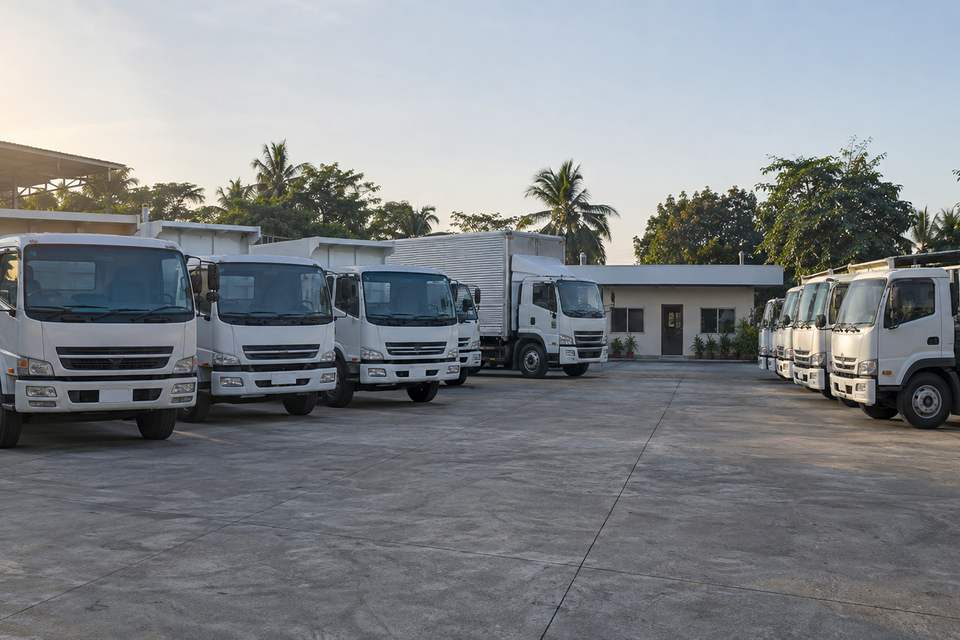 Used white cab-over dump trucks, cargo trucks and a box van parked in rows on a concrete dealership yard in early morning light, with a small office building behind.